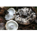 Мицелий Груздя настоящего / Груздь сырой (Lactarius resimus)